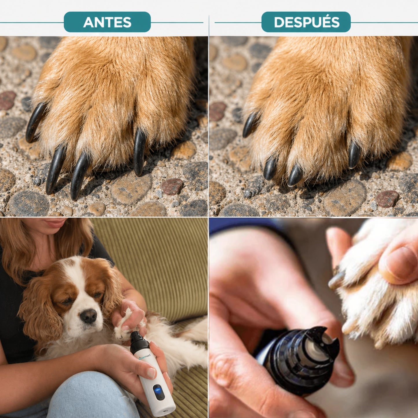 SilentPaws™ El limador silencioso que tu perro sí tolera